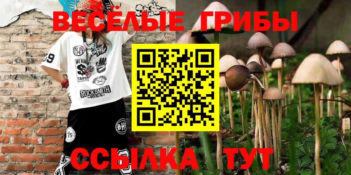 Топки  Псилоцибиновые грибы Cubensis  Вход с VPN 