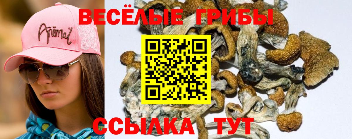 Галлюциногенные грибы MAGIC MUSHROOMS Топки
